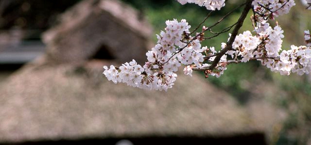 宮崎県北部の国内旅行